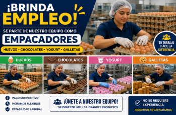 Empleos para Empacador de Productos: Vacantes con o sin Experiencia